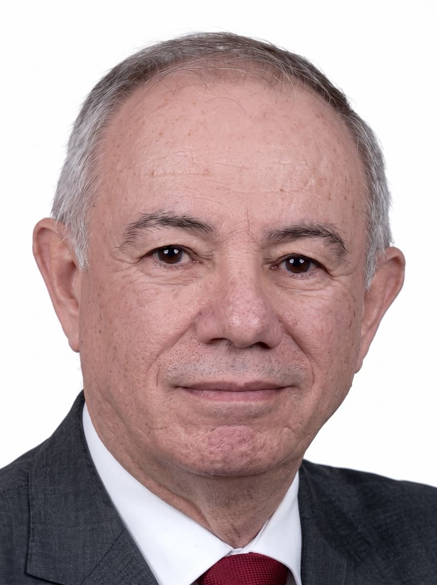 Armando Alexandri, Chief Operating Officer at Goldgroup Mining